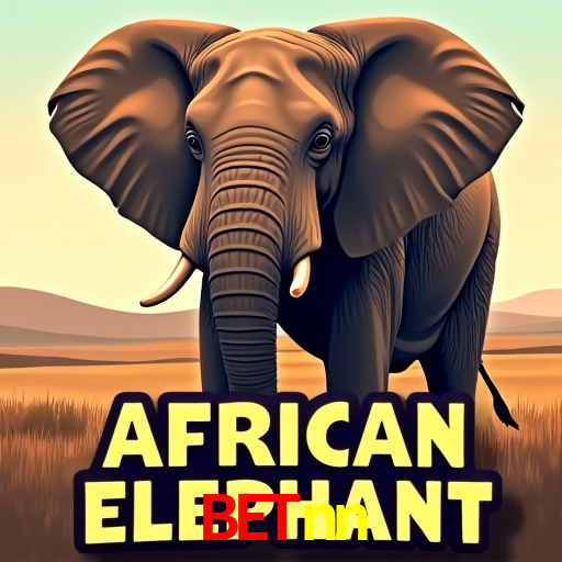 Inovações de Jogos na betnn: O Futuro das Experiências Interativas